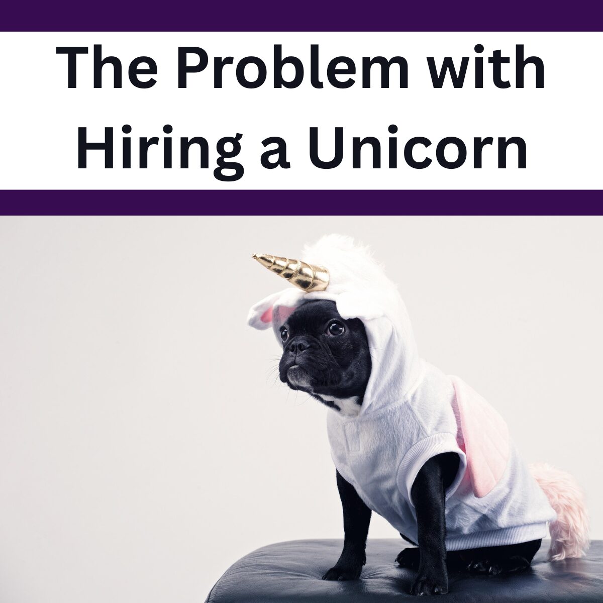 The Problem with Hiring a Unicorn